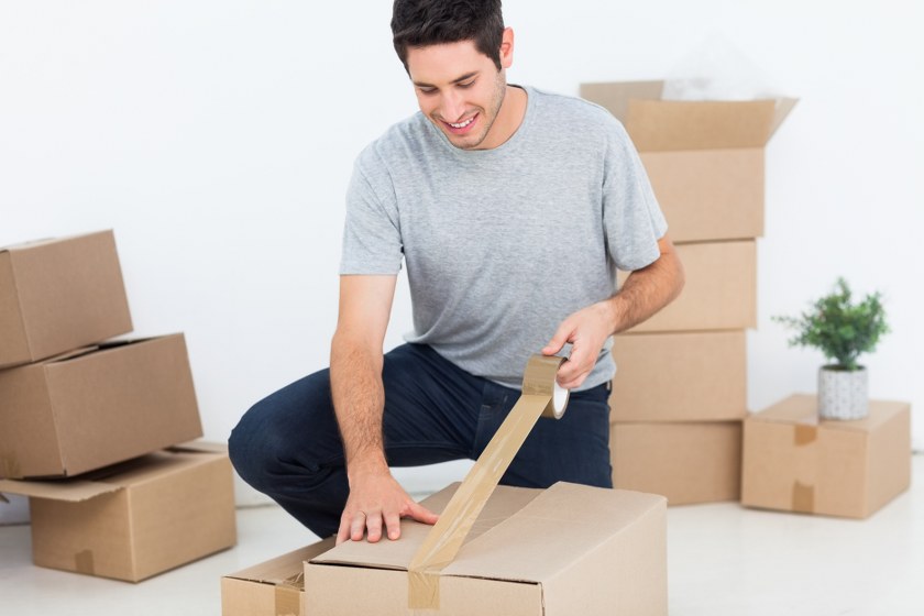 removal services