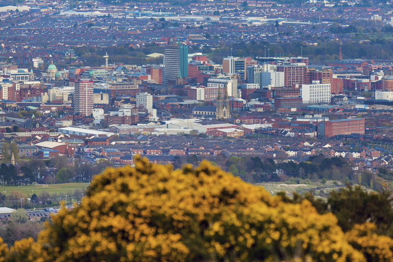 packing supplies boxes