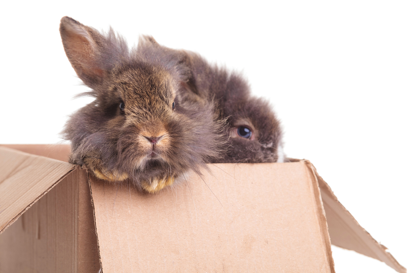 boxes packing