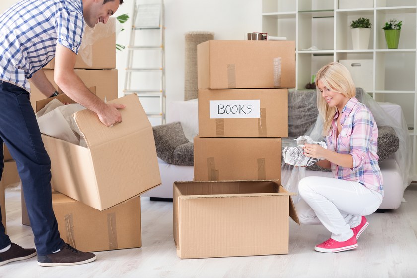 removal services